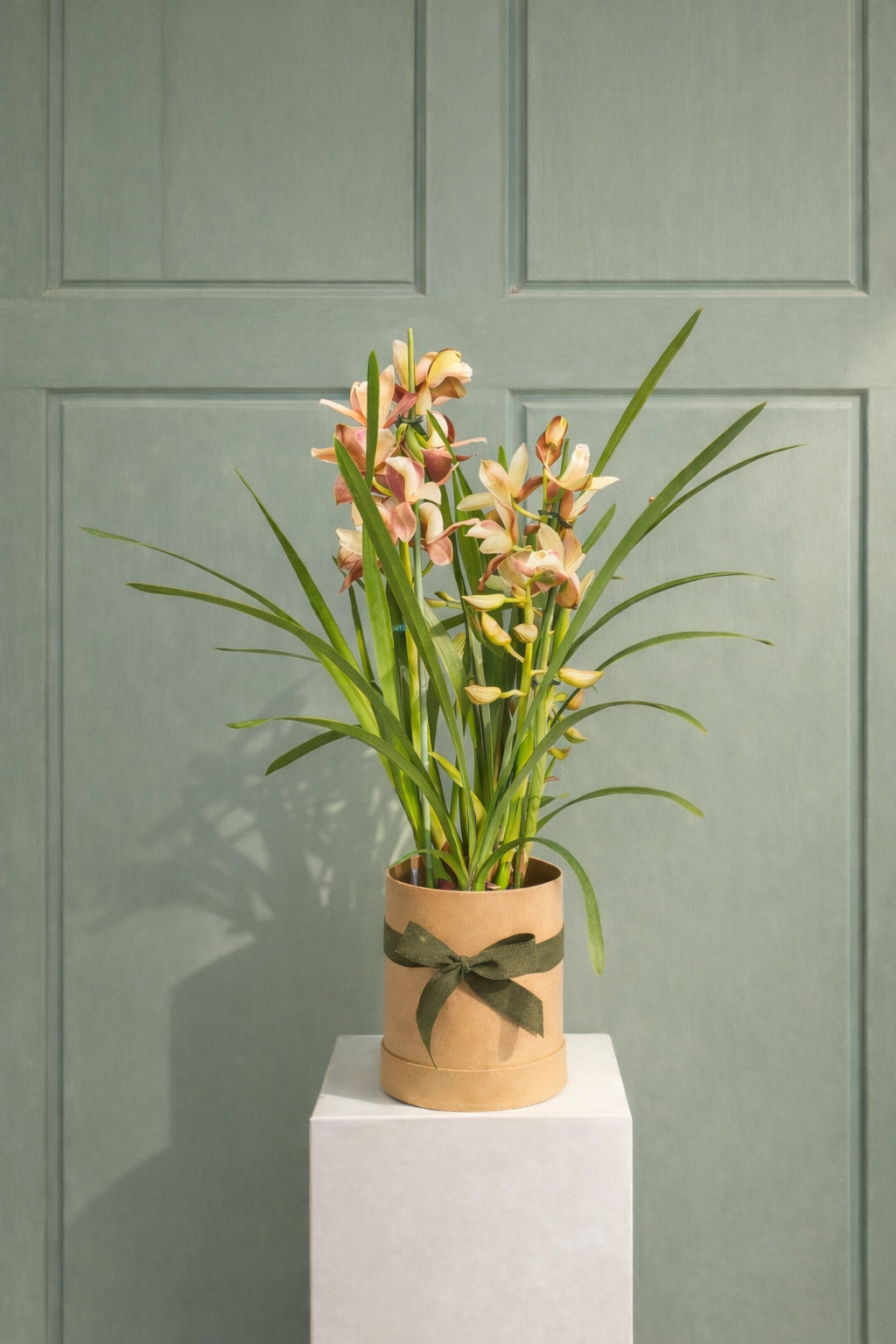 Cymbidium en tonos empolvados